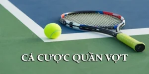 Quần Vợt BONGVIP: Đỉnh Cao Đam Mê, Khám Phá Sân Chơi Cá Cược Thể Thao