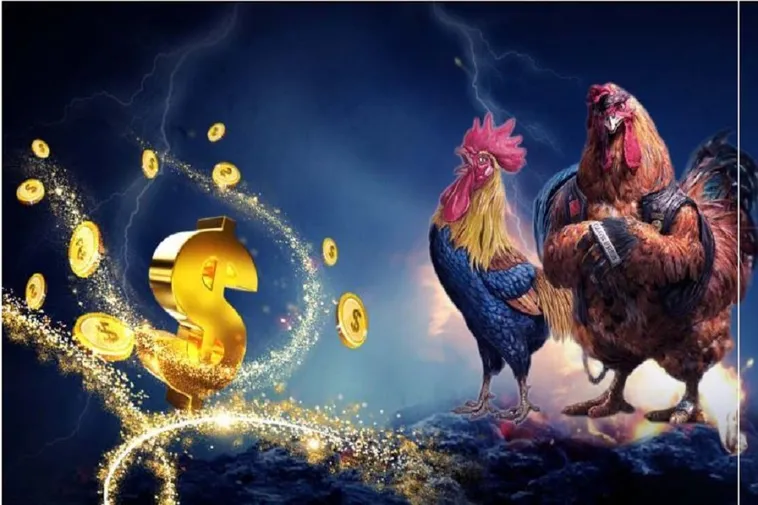 Đá Gà iBET88: Bí Quyết Thắng Lớn Cho Người Chơi Online 2 Đá Gà iBET88: Bí Quyết Thắng Lớn Cho Người Chơi Online